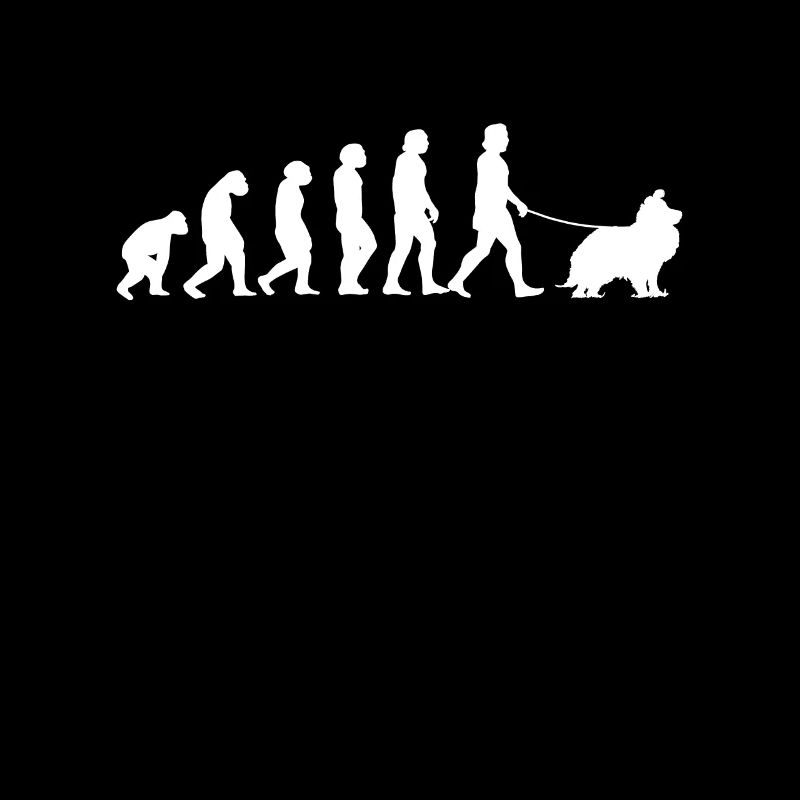 Shetland Sheepdog Evolution Sheltie Geschenk