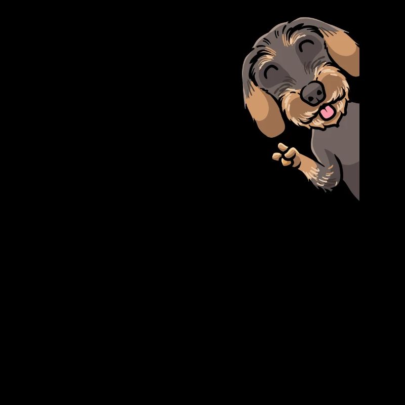 Rauhaardackel Dackel Hund