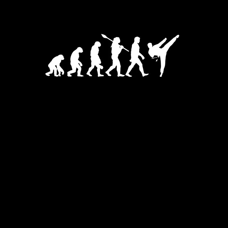 Evolution Karaté Taekwondo Aikido Arts Martiaux