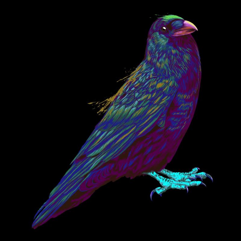 Splash Vogel Krähe Rabe