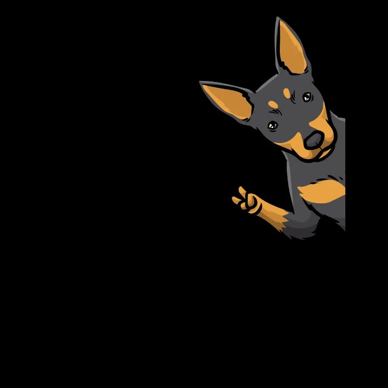 Kelpie Hund Australian Kelpie