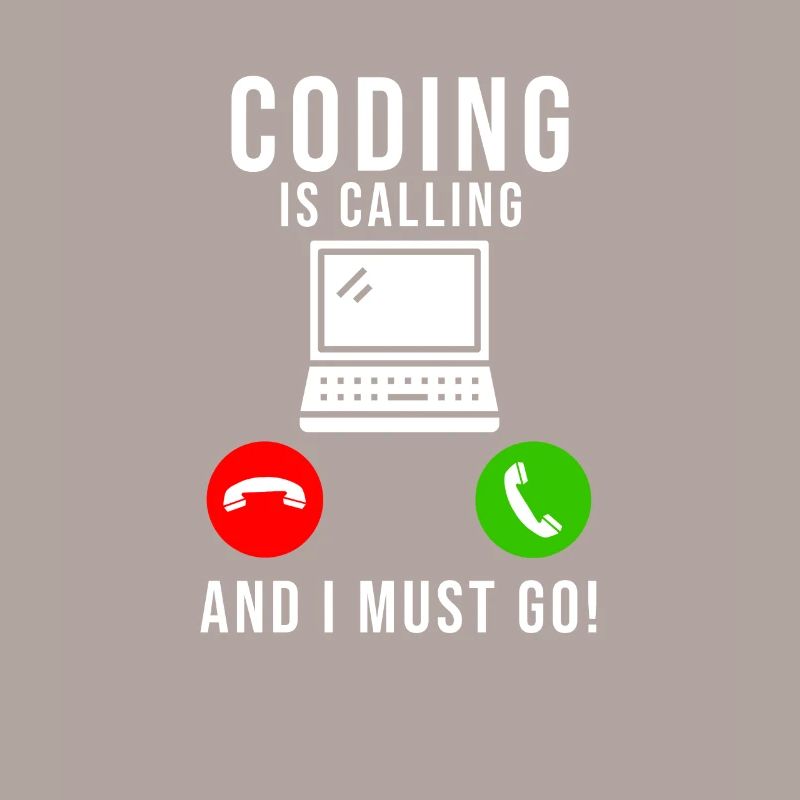 Programmeur Codage Développeur Informatique