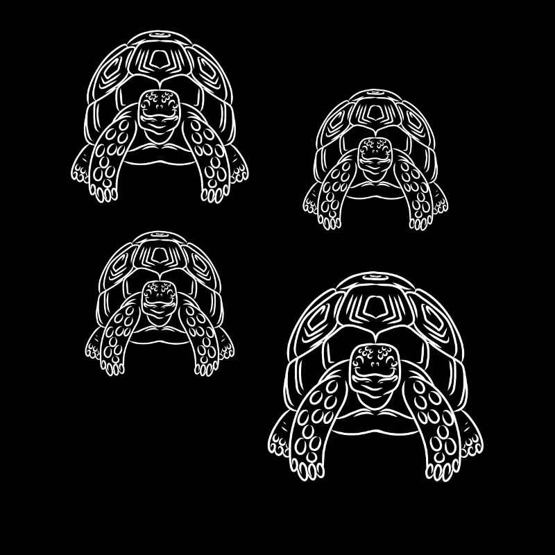 Turtles Turtles Cute turtles