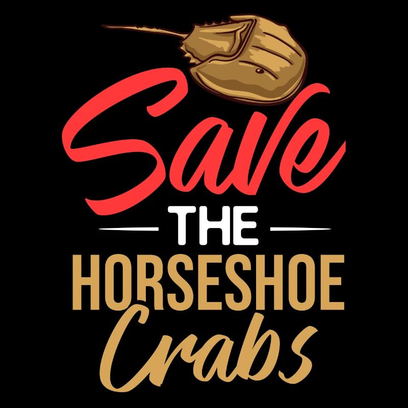 Crabe en fer à cheval Crabe en fer à cheval Crabes des Moluques