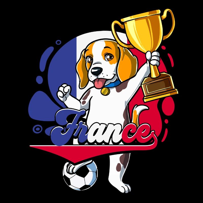 Frankreich Fußball