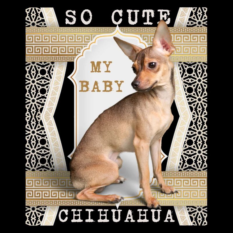 Chihuahua, Rassehund