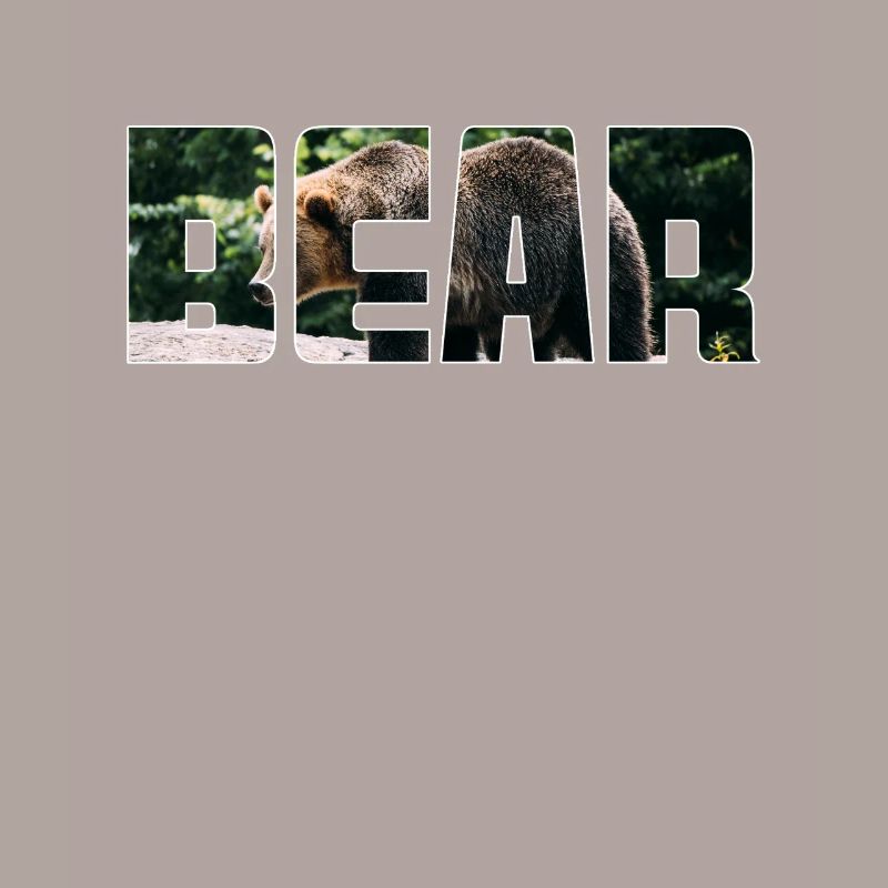 Bär