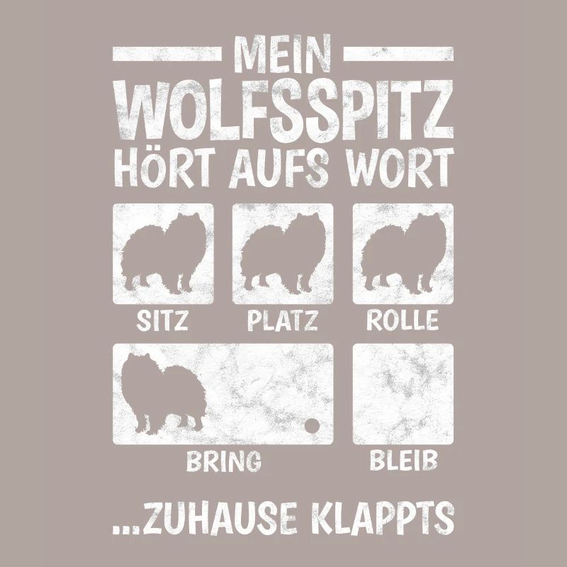 Wolfsspitz Hundetricks deutscher Spitz Keeshond