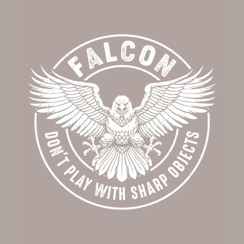Falcon Sharp objects Falconry Ornithologist Eagle