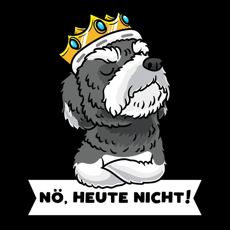 Schnoodle Hund Mit Krone Stur