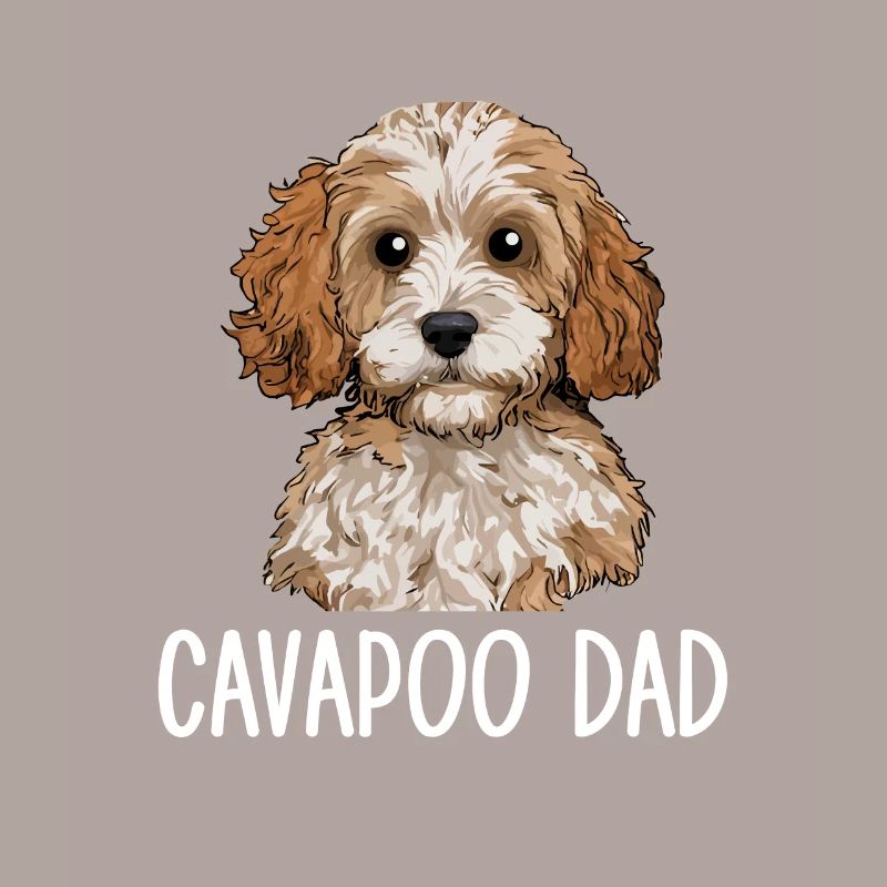 Cavapoo Papa, Cavapoo