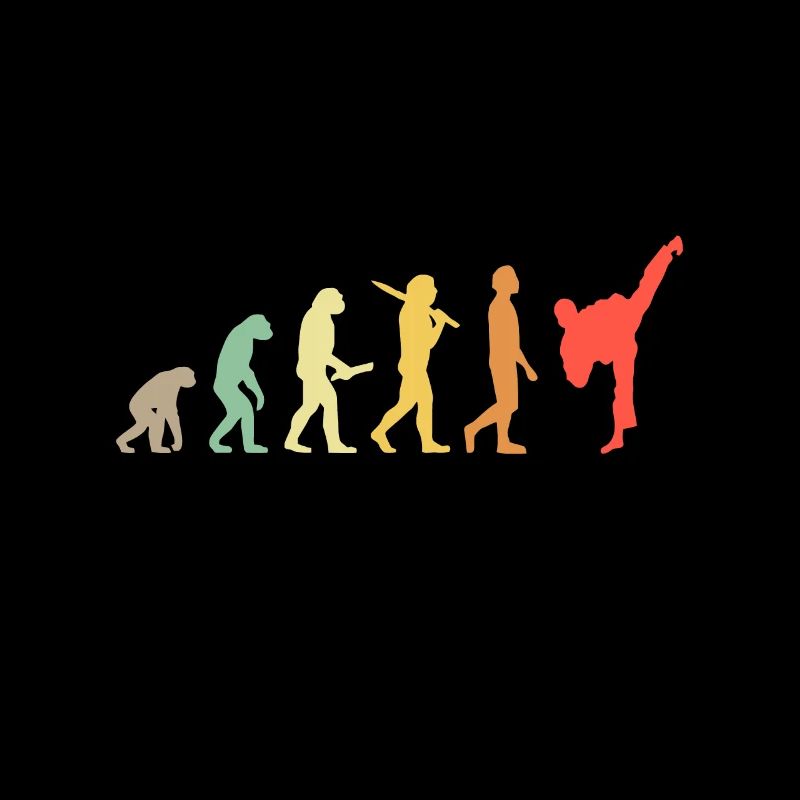 Rétro Karaté Evolution Cadeau pour Karateka