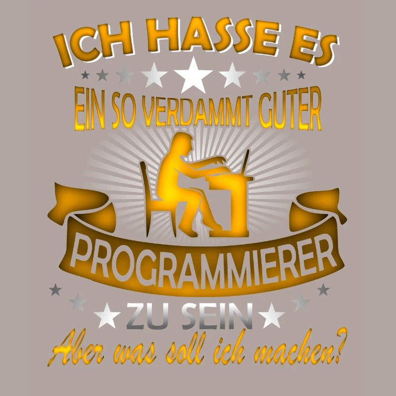 Software Ingenieur Informatiker Programmierer