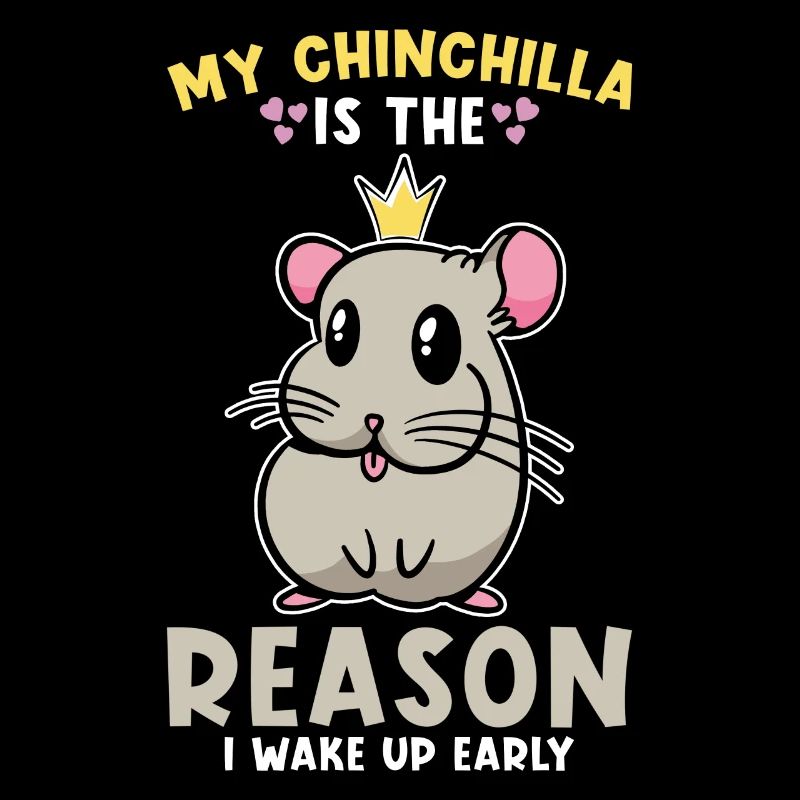 Chinchilla mignon