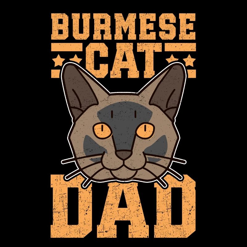 Papa birman chat chat birman chats cadeau