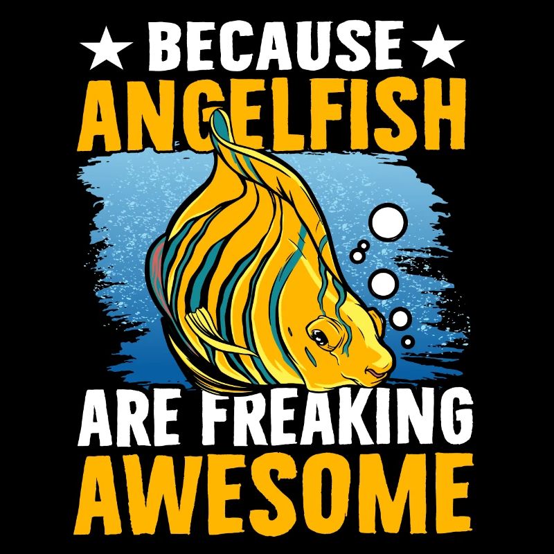 Because Angelfish are freaking Awesome