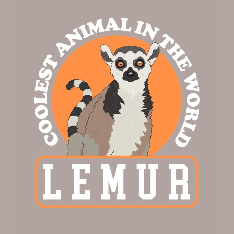 Lemurs Lémurien annelé lémur queue bouclée lemure cadeau