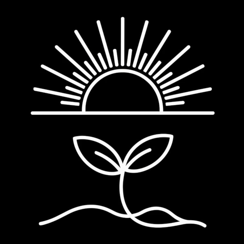 Minimal Pflanze und Sonne - Das Leben beginnt