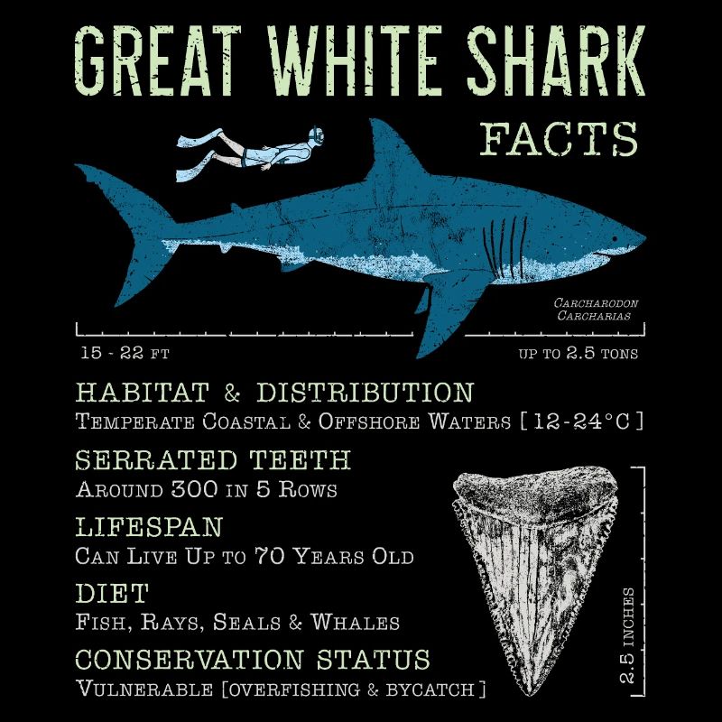 Faits sur le grand requin blanc