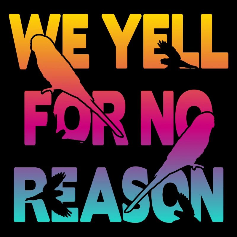 We Yell For No Reason - Budgie