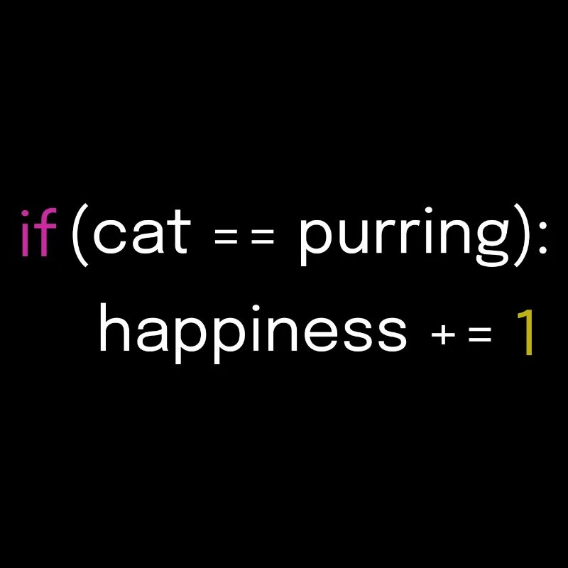 Conception de chat et de codage
