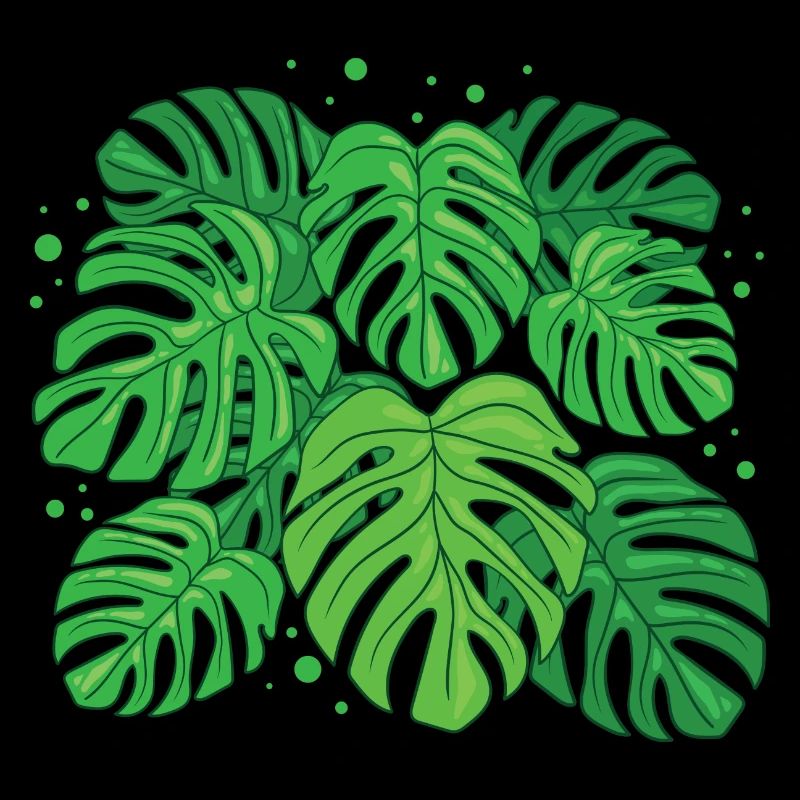 Monstera Deliciosa