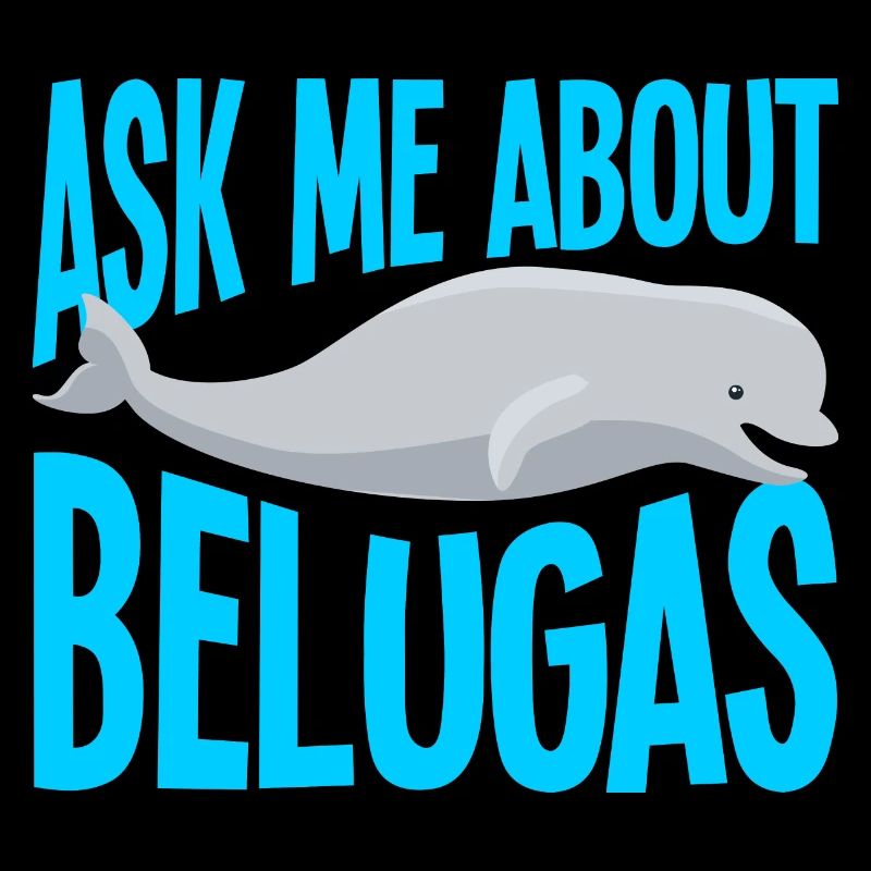 Beluga Whale Beluga Whale Whale Watching Dolphin Dolphin