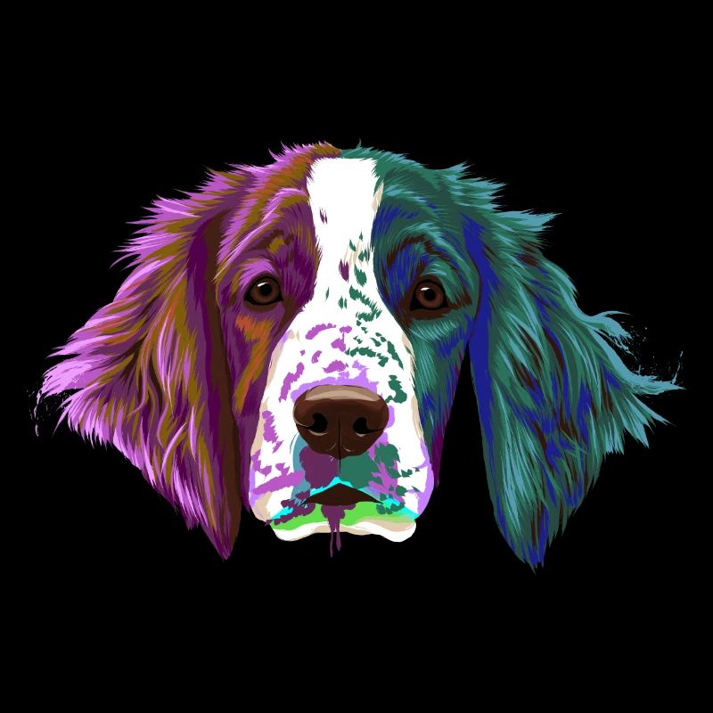 Splash Welsh Springer Spaniel Hund