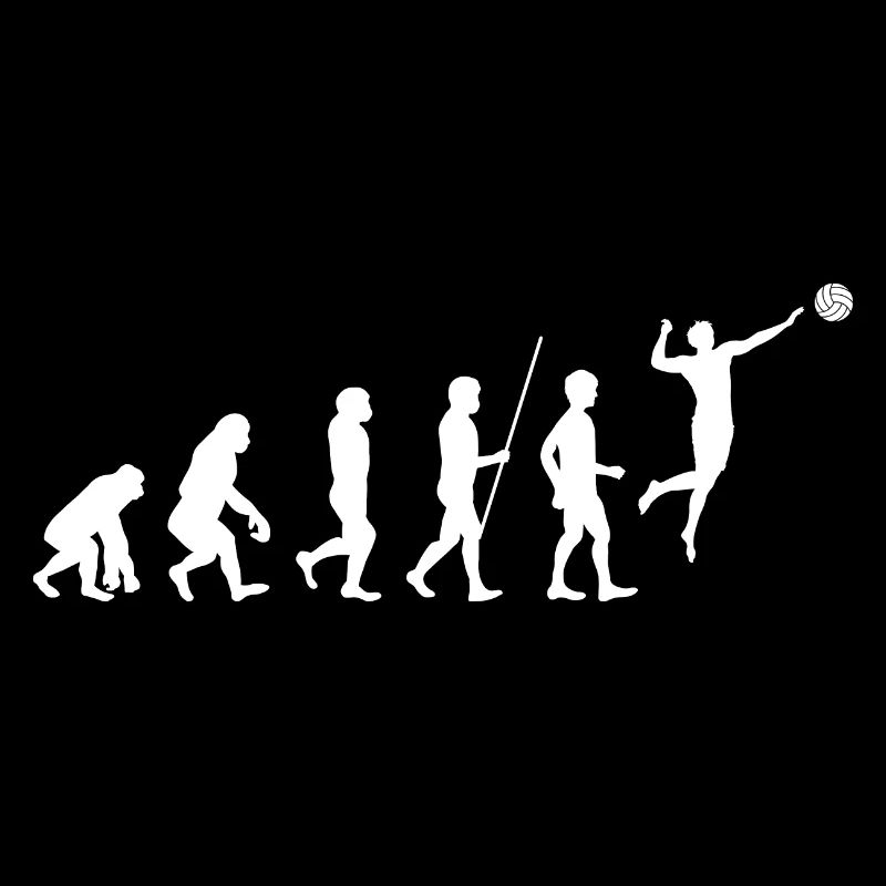 Évolution du volleyballeur