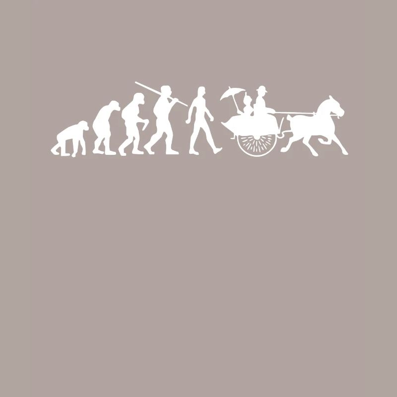 Carriage Evolution Coachman