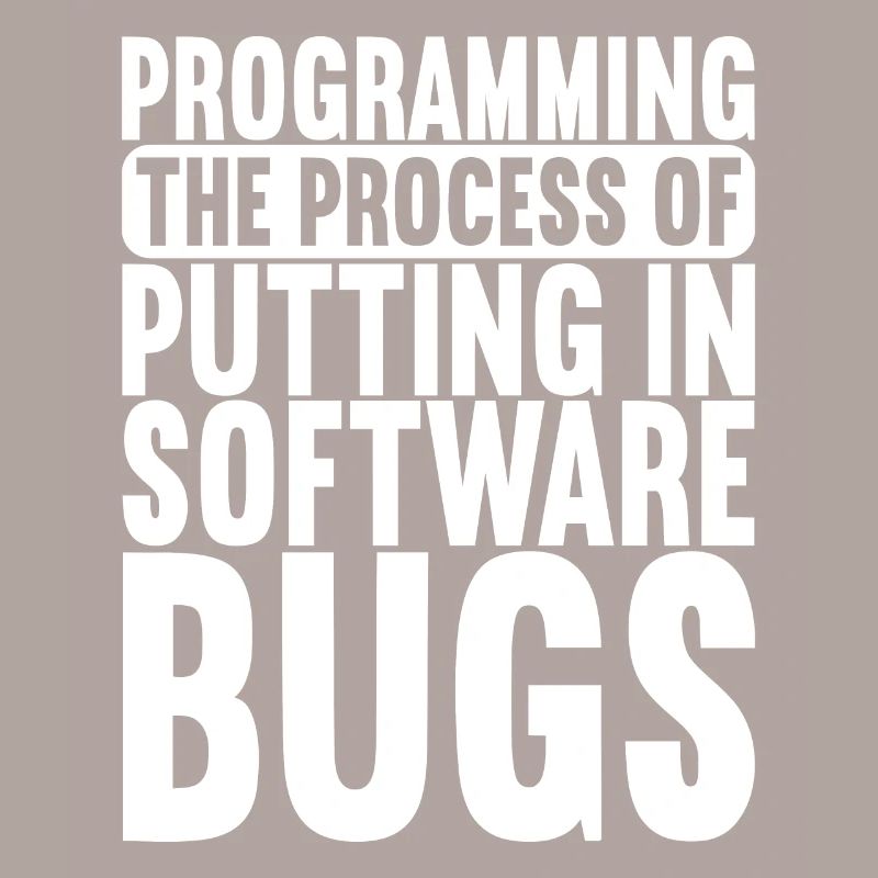 Programmeur Informaticien