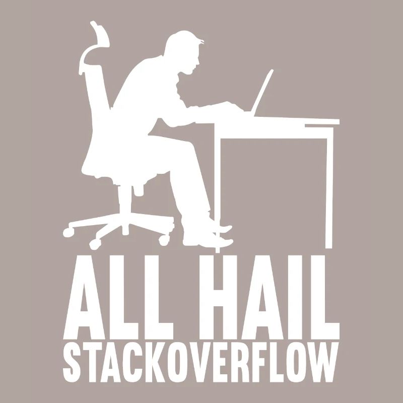 Programmierer Informatiker