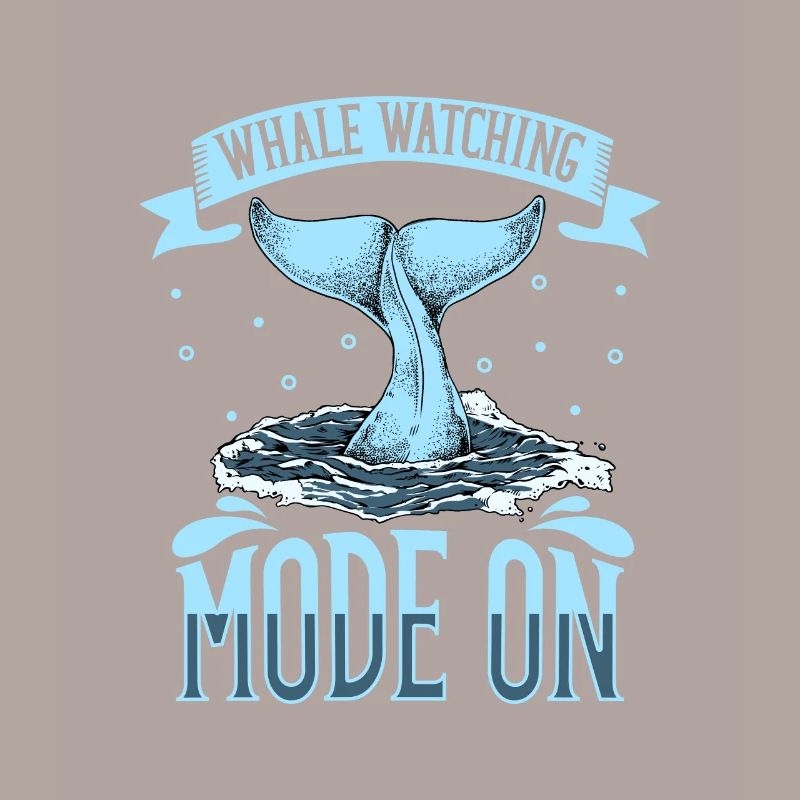 Mode d’observation des baleines activé - Walbeobachtung
