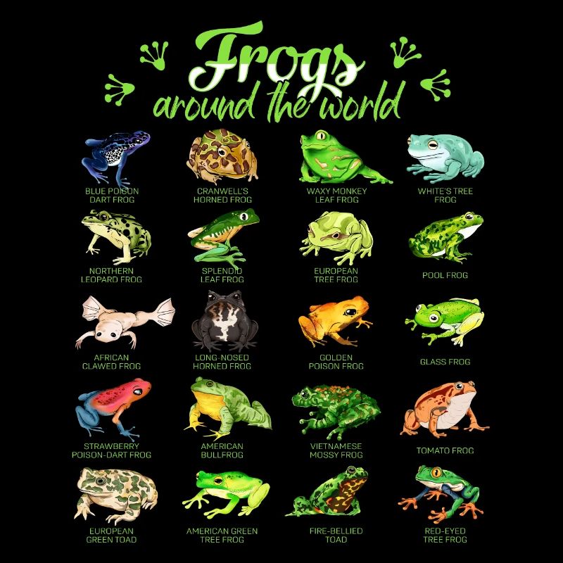 Grenouilles du monde - Grenouille