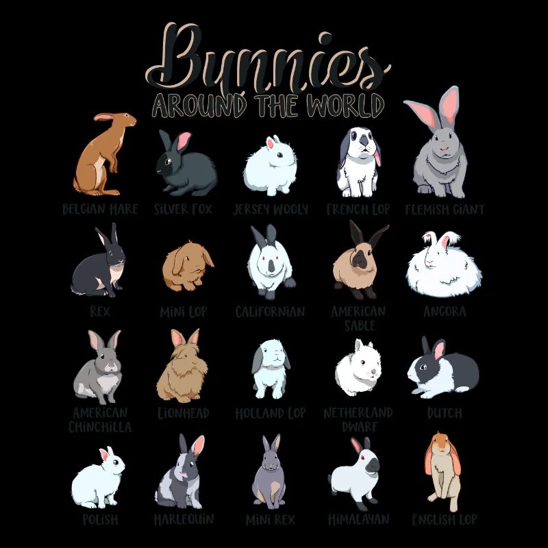 Lapins du monde - Races de lapins