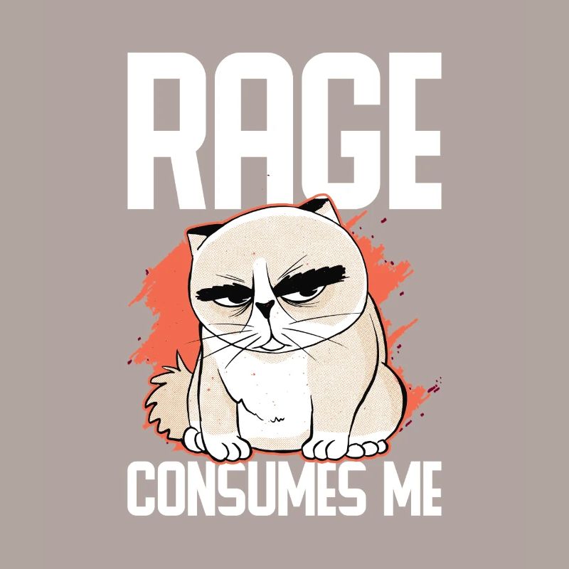 Chat Gras Gros Chat Humour Mème