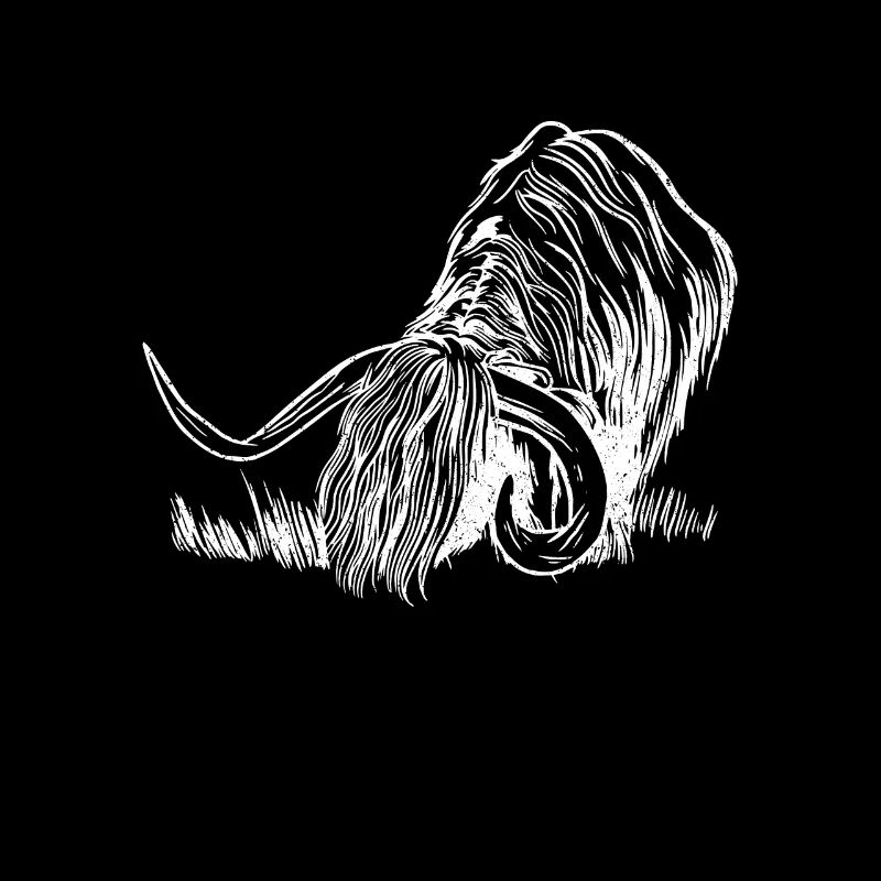 Highland cattle