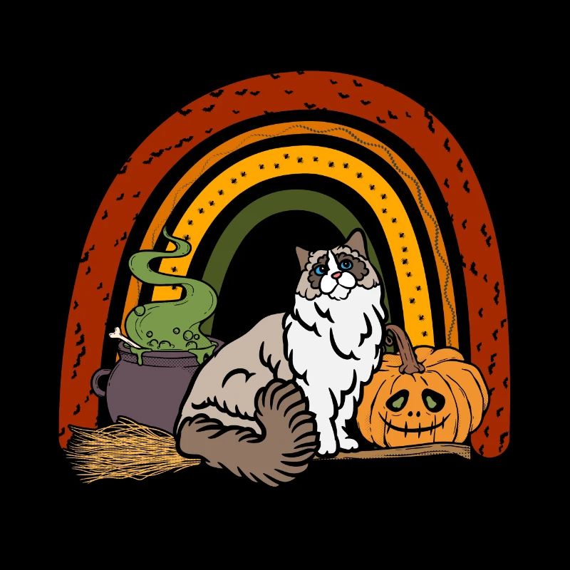 Mignon Chat d’Halloween Ragdoll