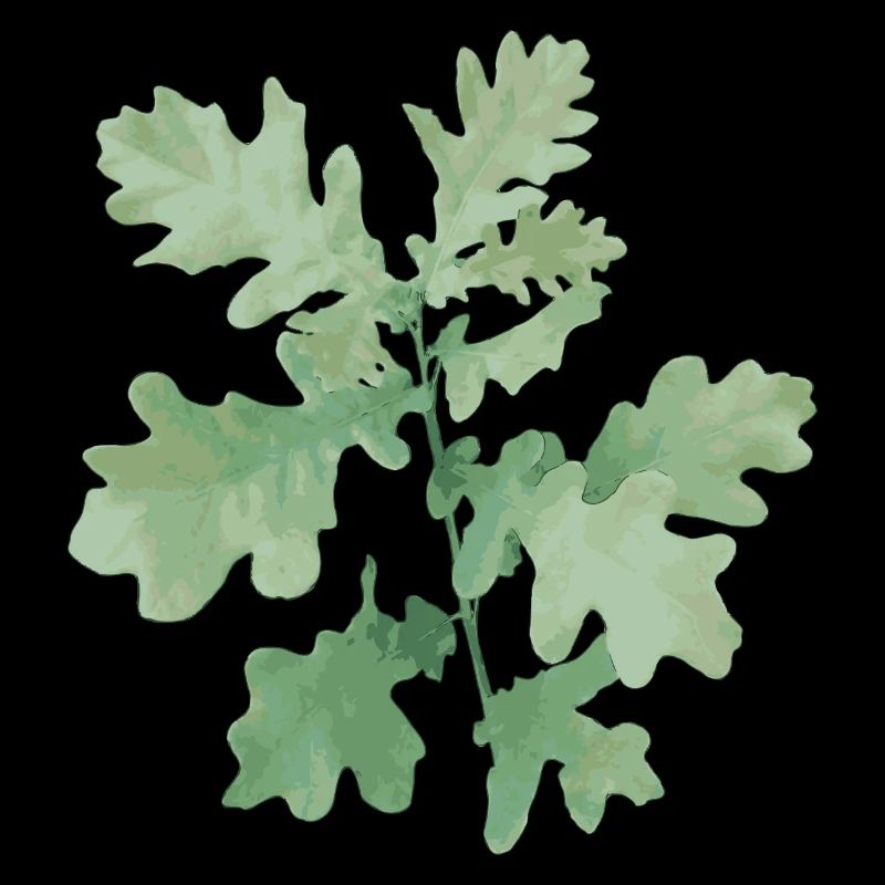 Bright Oak - Light Oak