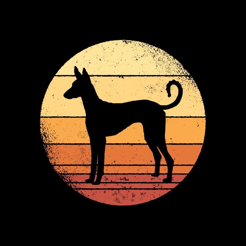 Podenco spanischer Jagdhund Grafik