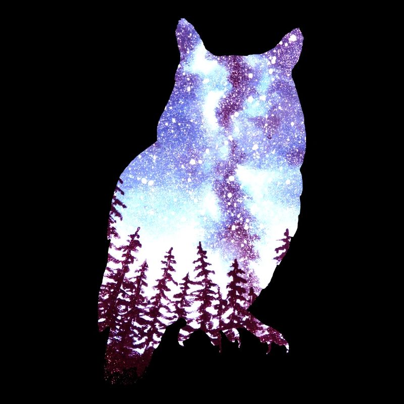 Owl Starry Sky Forest