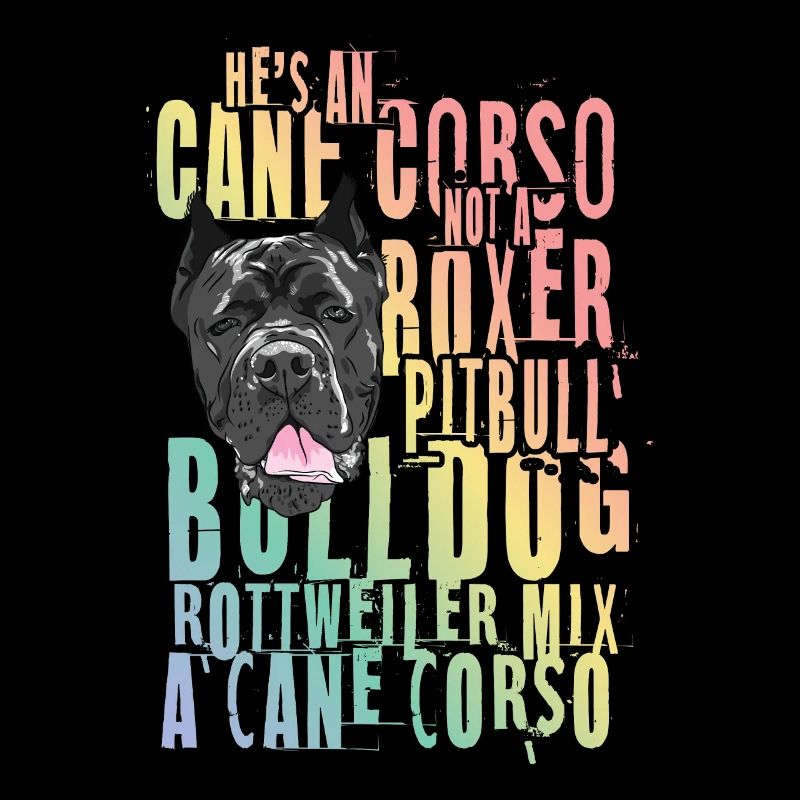 Cane Corso für einen Cane Corso Besitzer Cane