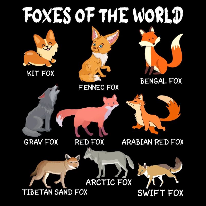 Fox Foxes Forest Animal Red Fox