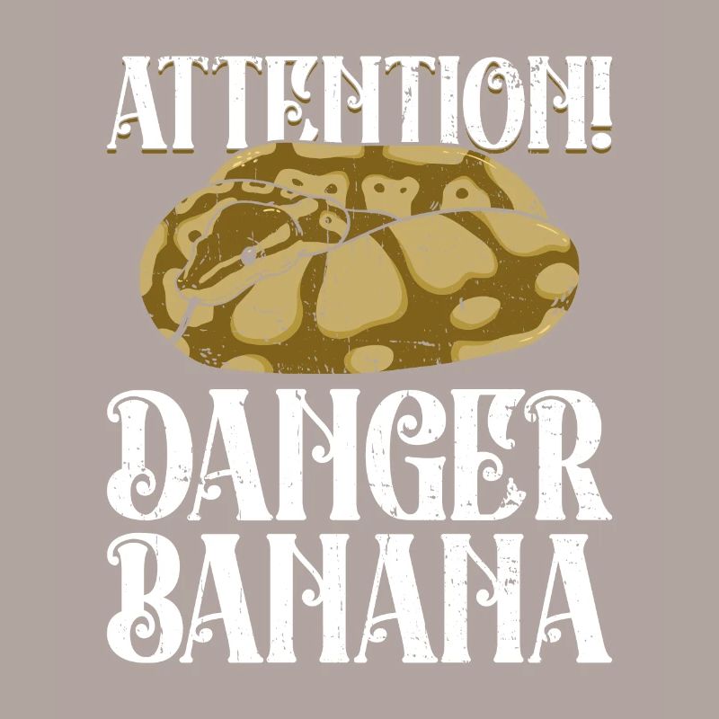 Königspython Banane Königspython Schlange