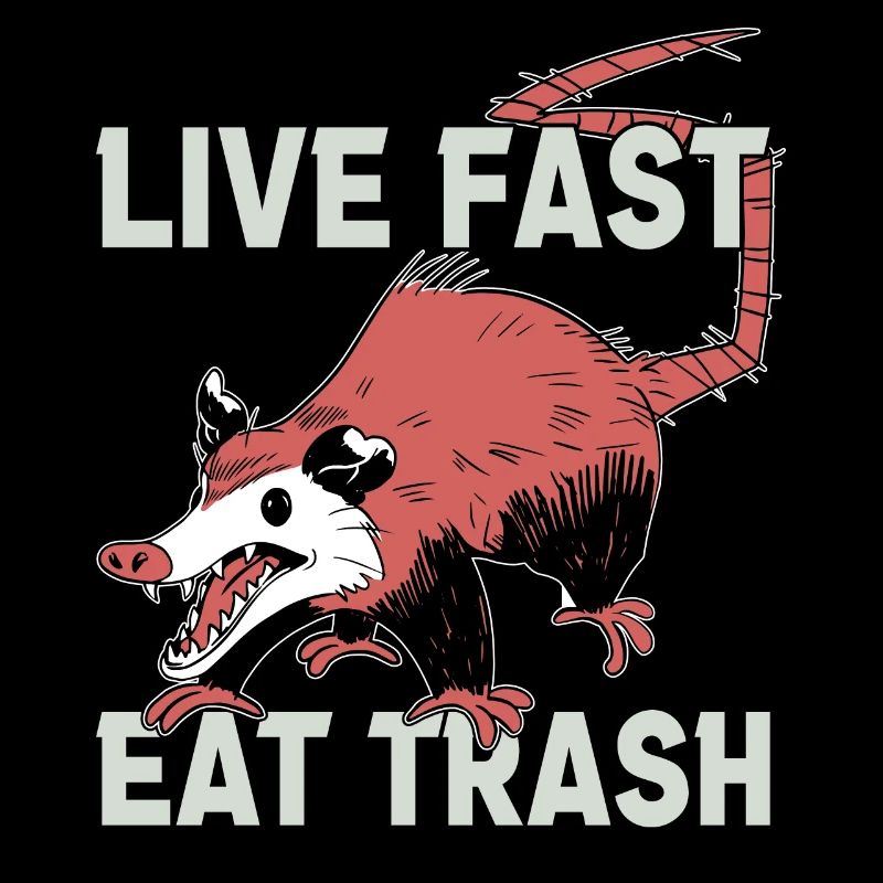 Opossum Trash Opossum Retro