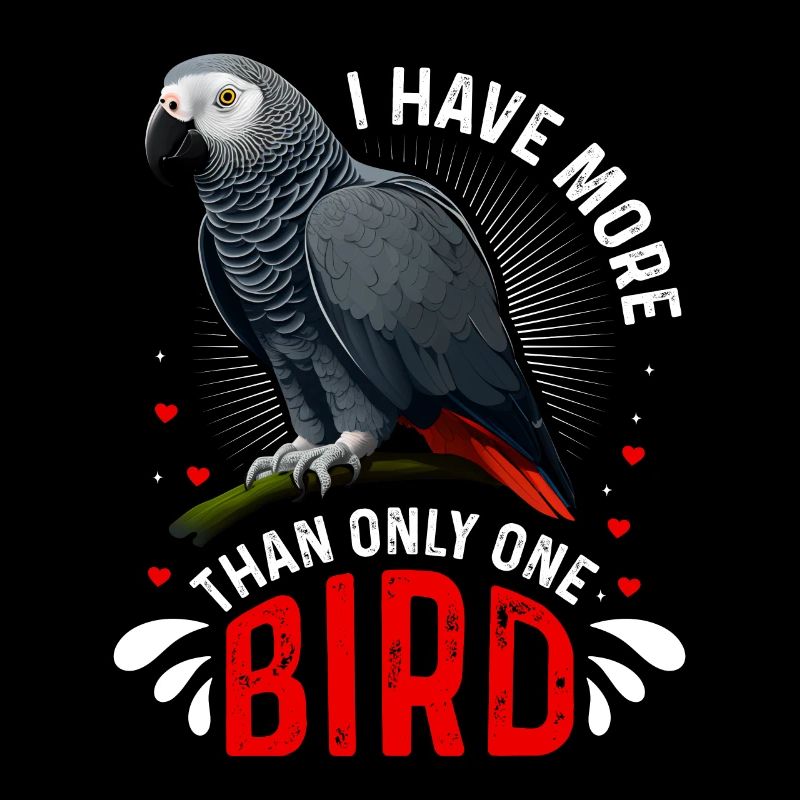 Perroquet gris J’ai plus d’un oiseau