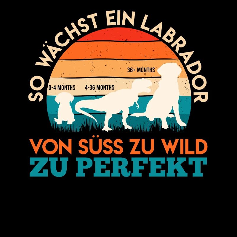 Labrador Hund SO WÄCHST EIN LABRADOR Lustiges