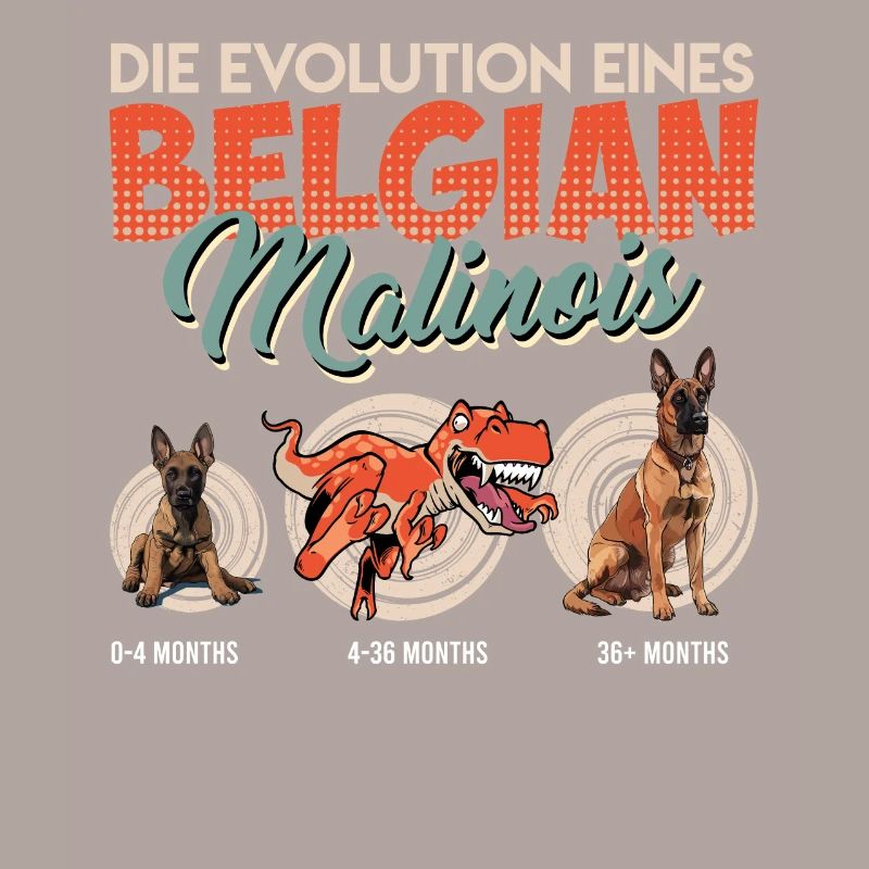 EVOLUTION EINES BELGIAN MALINOIS Belgischer
