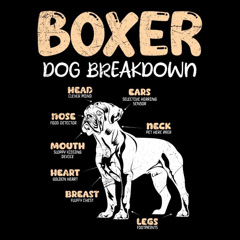 BOXER DOG BREAKDOWN Deutscher Boxer Lustiges