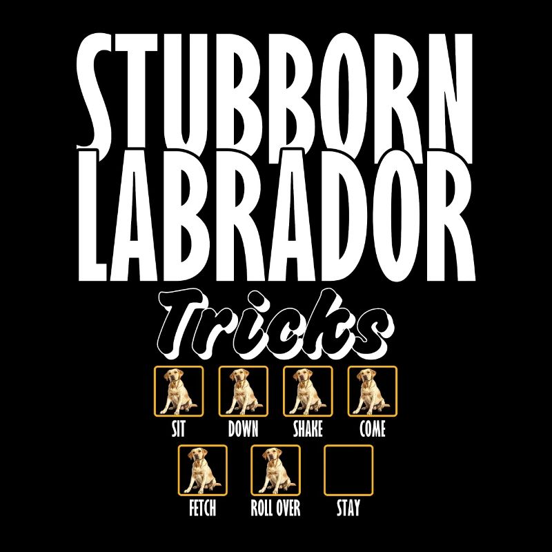 Labrador STUBBORN LABRADOR Retriever Chiens